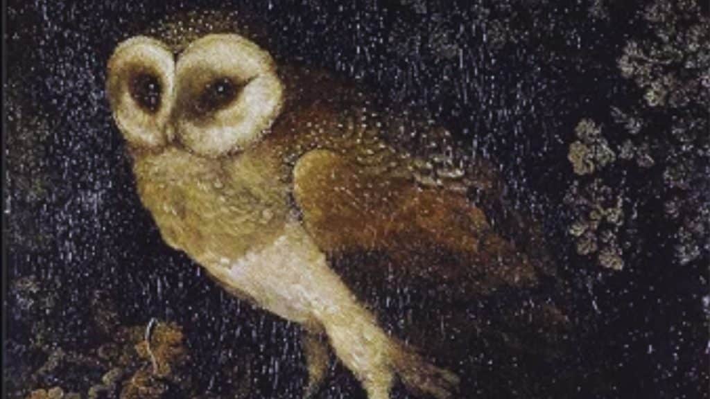 Owl