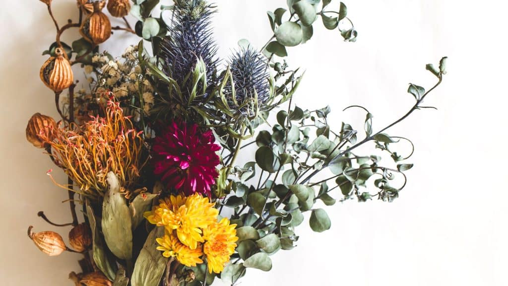 dried flowers