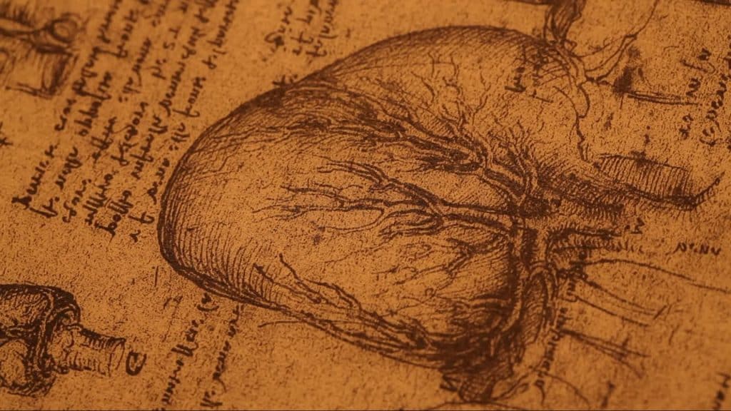 human anatomy timeless halloween decor