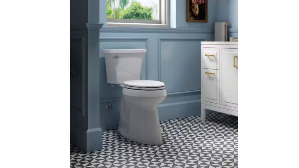 ada toilet