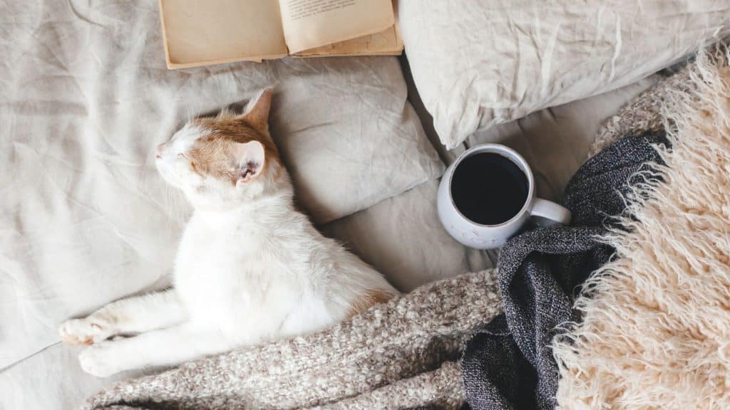 bedding bedroom layout