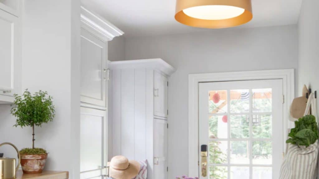 flush mount light