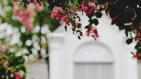 spring home refresh head image