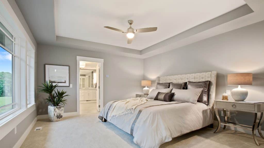 tray ceiling